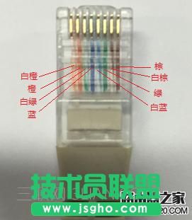 _Ĳ鿴W