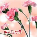 母親節快樂表情包
