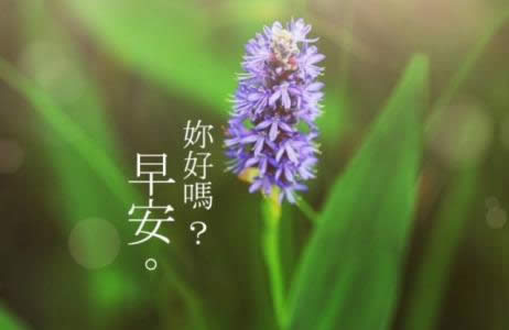 ΢Ȧ簲ZDƬ