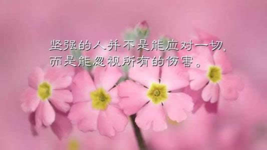 ΢Ȧ簲ZDƬ