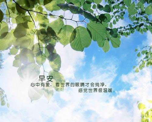 ΢Ȧ簲ZDƬ