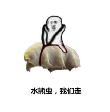 ƤƤr