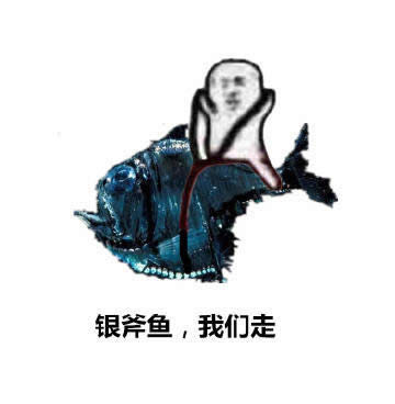 ƤƤr