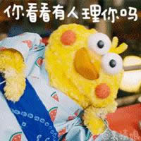 日本docomo鸚鵡兄弟動態表情包