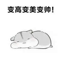 倉鼠夫君手繪表情包