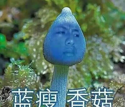 {㹽