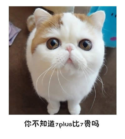 ؈
