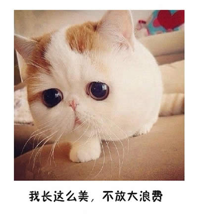 ؈