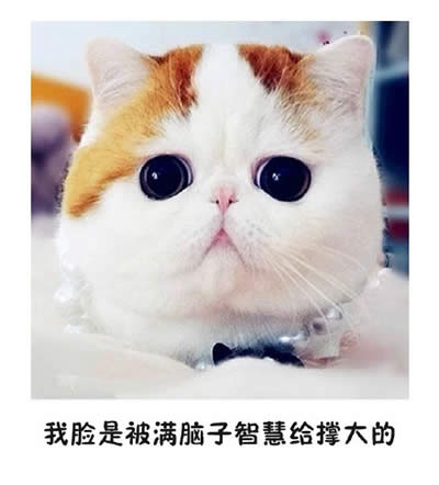 ؈