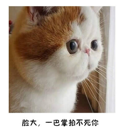 ؈