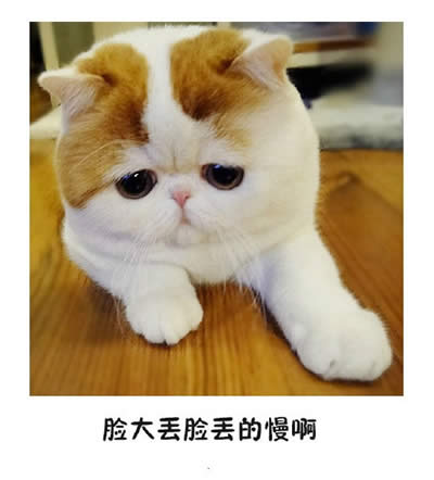 ؈