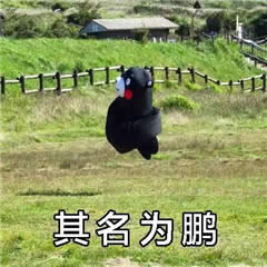 ڤ~