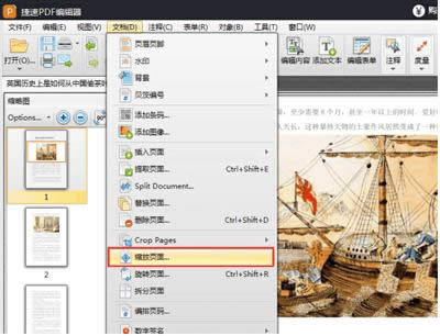 PDF݋