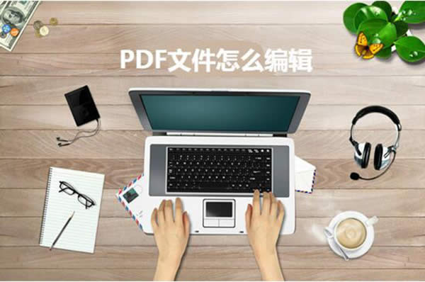 ѸPDF݋