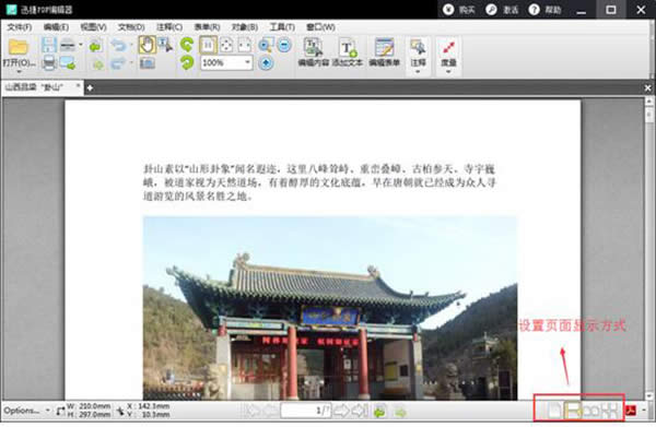 ѸPDF݋