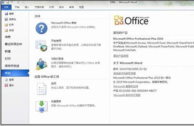 Office 2010 Professional Plus