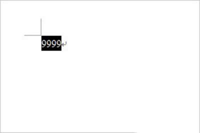 Word2007DQɴ󌑔ַ