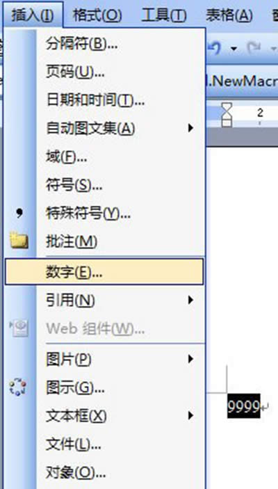 Word2007DQɴ󌑔ַ