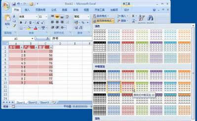 Excel2007}