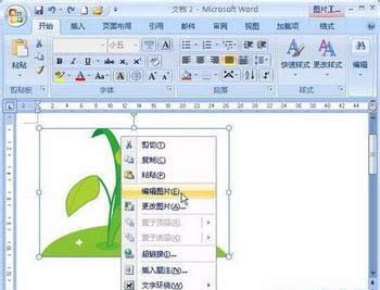 DƬӰЧ