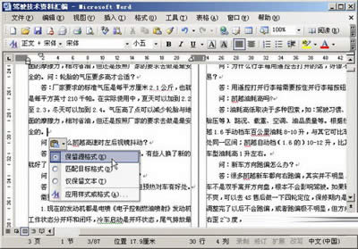 “粘貼”選項按鈕