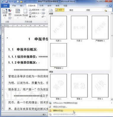 word2010添加和刪除水印