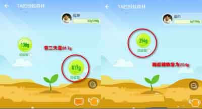 支付寶螞蟻森林 支付寶螞蟻森林