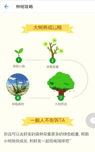 支付寶