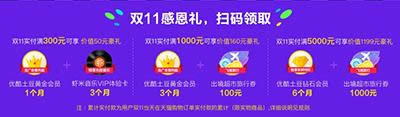 Ҋp11жY