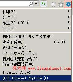 ie10ie11 P Internet Explorer