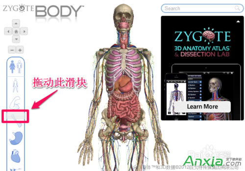 谷歌,谷歌人體瀏覽器,谷歌人體瀏覽器怎么用