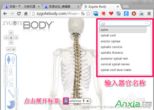 谷歌,谷歌人體瀏覽器,谷歌人體瀏覽器怎么用