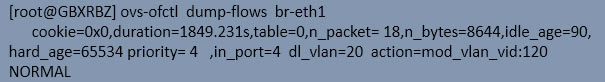  br-eth1  phy-br-eth1 յethernet frame rȾȥ鿴local-vlan  global-vlanһӳ