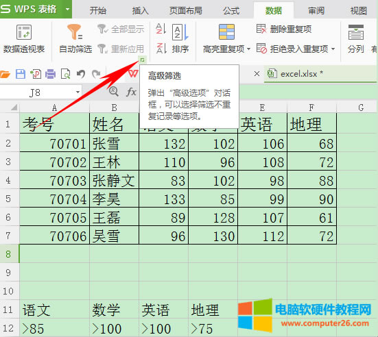 WPS表格如何運用高級篩選