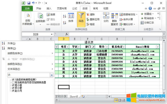 Excel篩選（Excel 2010中的篩選的使用方法）2