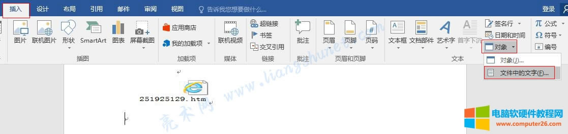 Word 插入文件中的文字