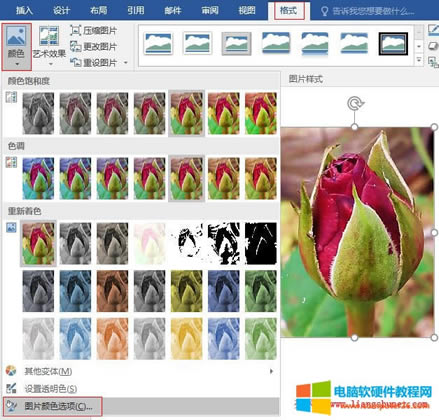 Word 2016 õ廨DƬԶxɫ