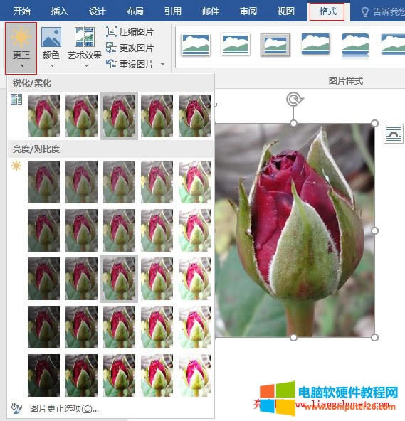Word 2016  DƬJ/ữ/ȶȣ{