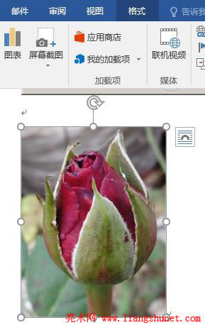 Word2016 hDƬ