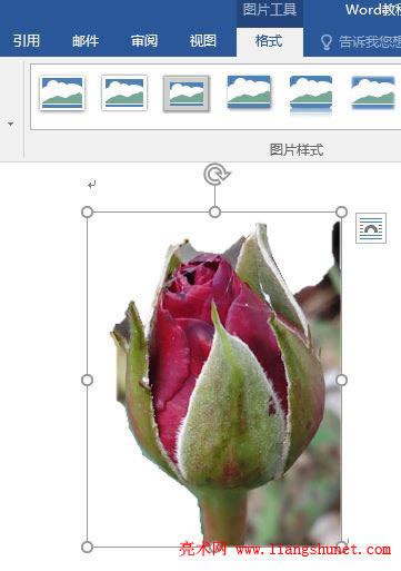 Word 2016 DƬhӛ