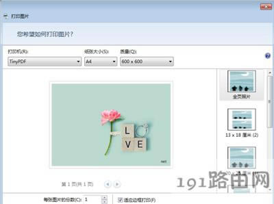 TinyPDF̓MӡCʹý̳