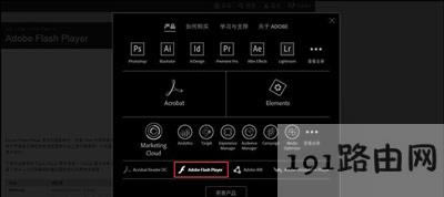 Win8ϵyg[_WʾShockwave FlashĽQ