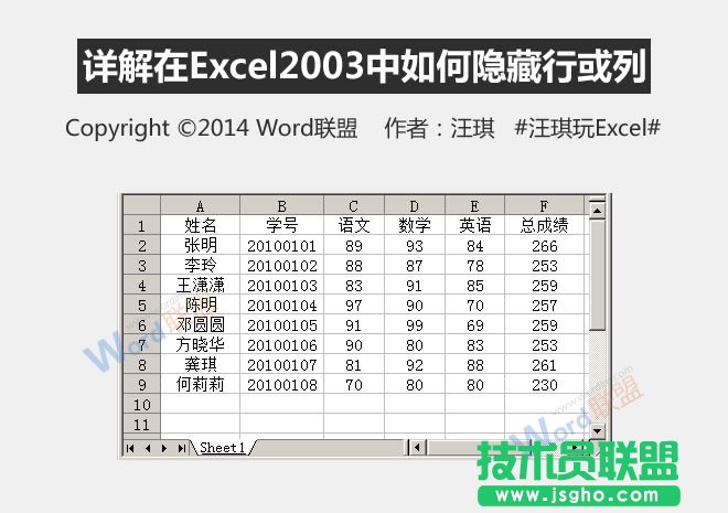 ôExcel2003[л   
