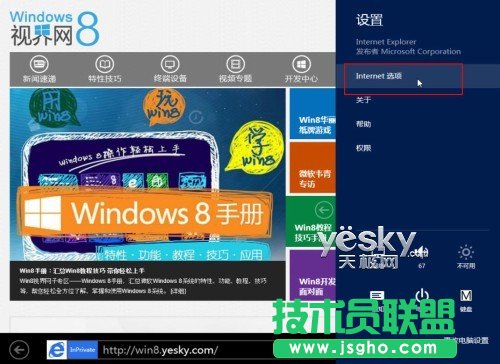 Win8pIE10g[SܕλW