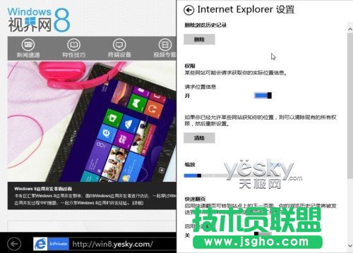 Win8pIE10g[SܕλW