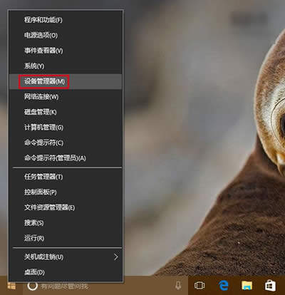 win10wifiQk