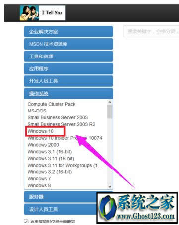 msdndwin10ϵy