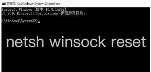 XϾW