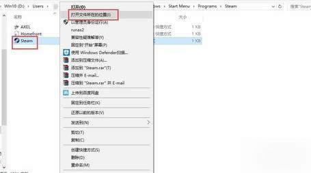 steamWj