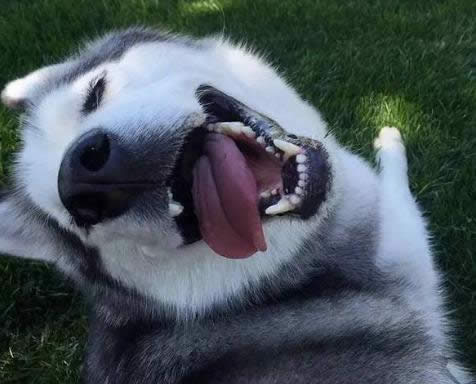 ϵy